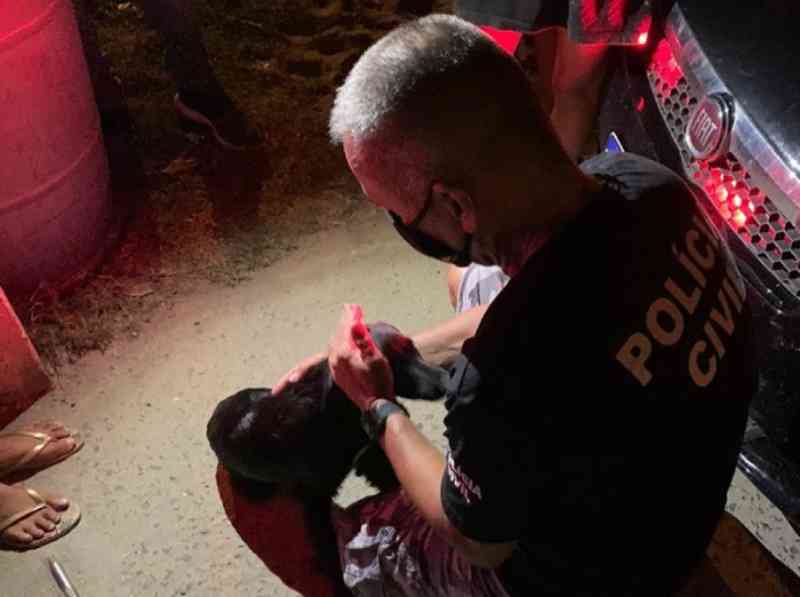 Flagrante: homem é preso após arremessar cão por cima de muro em Capão da Canoa, RS