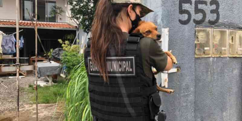 Guarda Ambiental tem guarnição para combater maus-tratos contra animais em Balneário Camboriú, SC