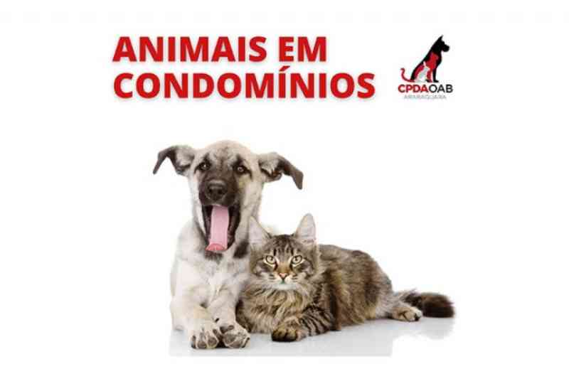 Cartilha sobre animais em condomínio é elaborada pela OAB-Araraquara, SP