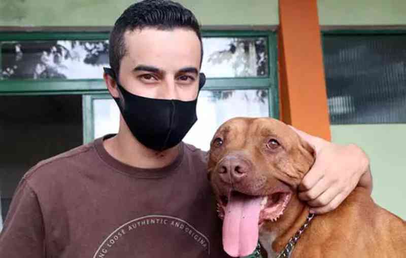 Após dois anos de espera, pit bull ganha nova família em Santo André, SP