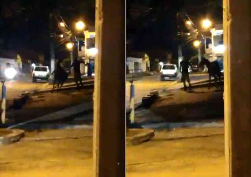 Homem é flagrado agredindo égua no bairro Santo Amaro, Maceió, AL