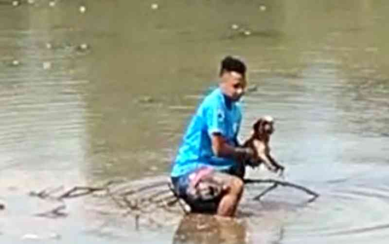 Homem entra em lago de parque e salva cadela presa na lama, em Goiânia; vídeo