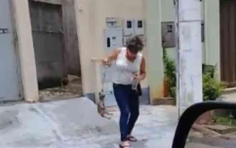 Mulher é presa suspeita de matar filhote de cachorro em Trindade, GO; vídeo