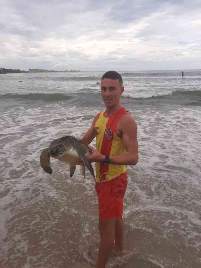 Vídeo: tartaruga é fisgada por pescador em praia de Barra Velha, SC