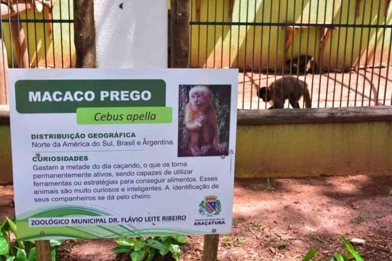 Sem visitas, animais do zoo de Araçatuba (SP) estão mais calmos