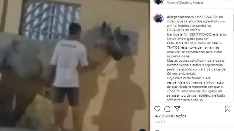 Polícia procura homem flagrado agredindo cavalo: ‘as buscas continuam’, diz delegado