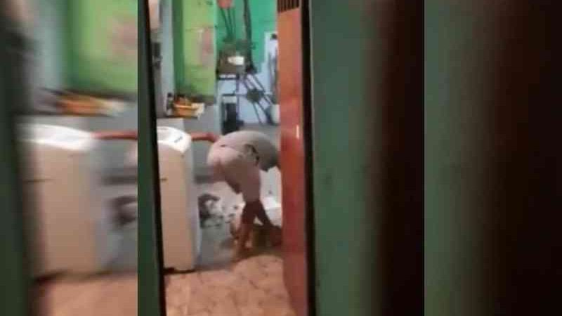 Homem é preso no DF após pisar e chutar cabeça de cachorro; vídeo