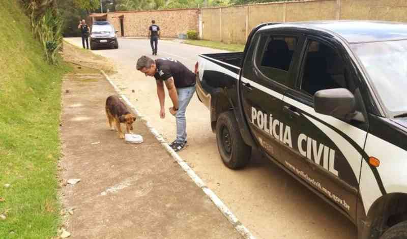 Polícia Civil de Juiz de Fora (MG) distribui 45 kg de ração para cães de rua