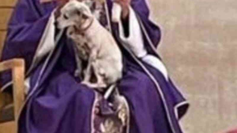 Padre é criticado por celebrar missa com seu cachorro no colo, que estava doente e ele não quis deixá-lo sozinho