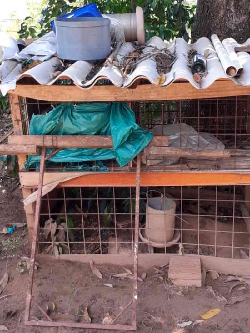 Homem é preso em flagrante por maus-tratos a cachorro encontrado por policiais engaiolado sem água e alimento em Adamantina, SP