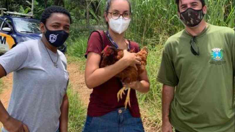 Bem-Estar Animal Araraquara (SP) resgata animais de área invadida