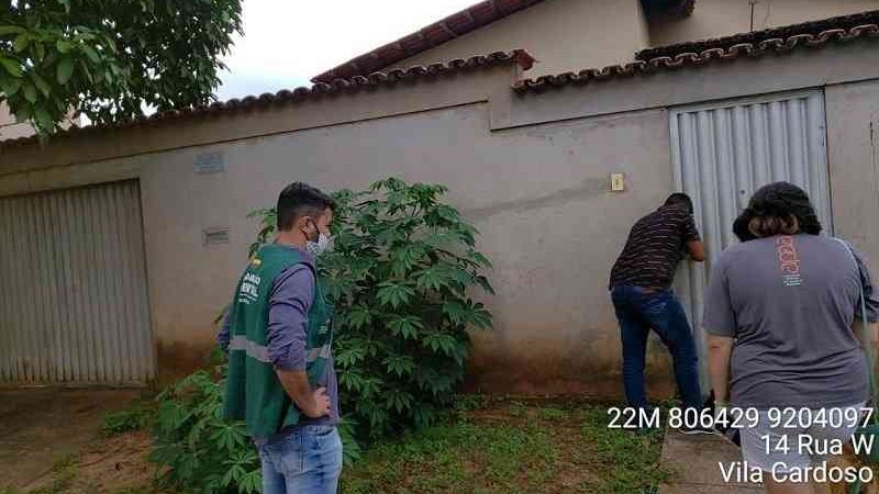 Animais vítimas maus-tratos são resgatados em residência de Araguaína (TO) após ação do MP
