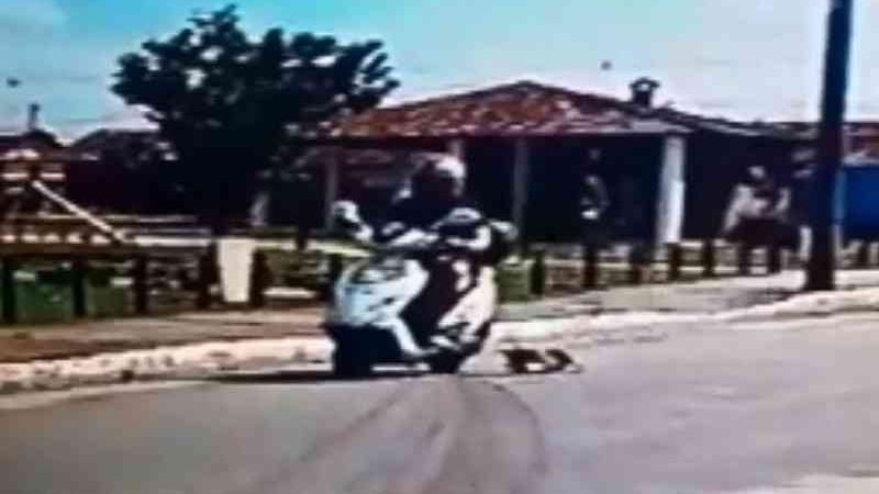 Vídeos: mulher em moto arrasta filhote de cachorro pelas ruas de Satuba, AL