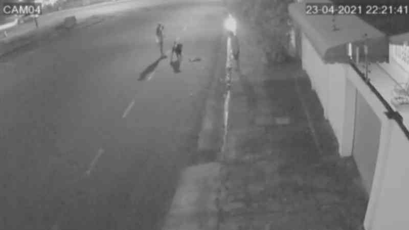 Câmeras de segurança flagram homem soltando cachorro para atacar gata comunitária no Amapá