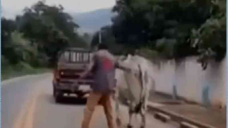 Motorista flagra homem arrastando boi com corda amarrada em caminhonete no Ceará