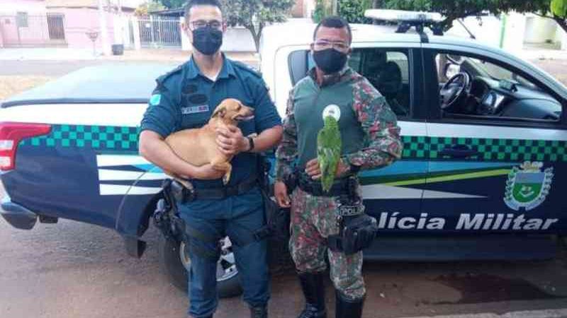 Mãe de adolescente de MS que torturou cachorro e papagaio paga multa de R$ 9 mil