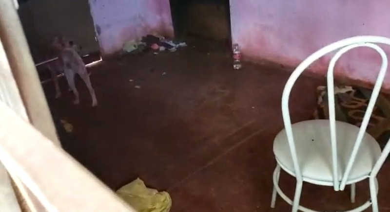 Cães estavam em péssimas condições, bastante machucados, sem comida e sem água — Foto: Divulgação/Polícia Civil