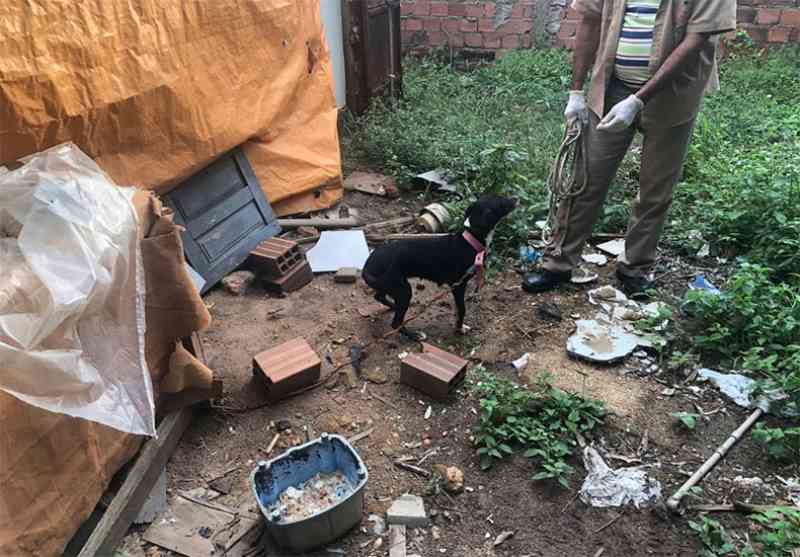 Polícia resgata cão após denúncia de maus-tratos e fará operação a cada 15 dias em Teresina, PI