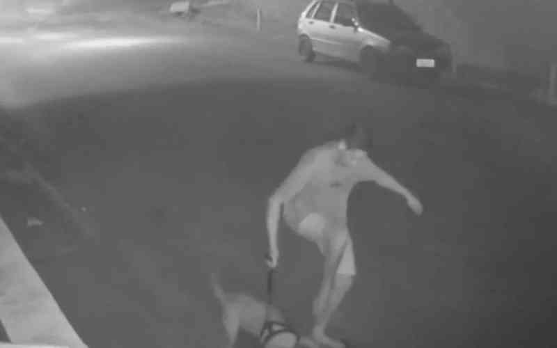 Jovem solta pit bull para atacar gato em São Pedro da Aldeia, RJ
