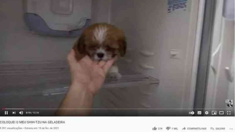 Internet se revolta com youtuber que maltrata cachorro ‘por likes’