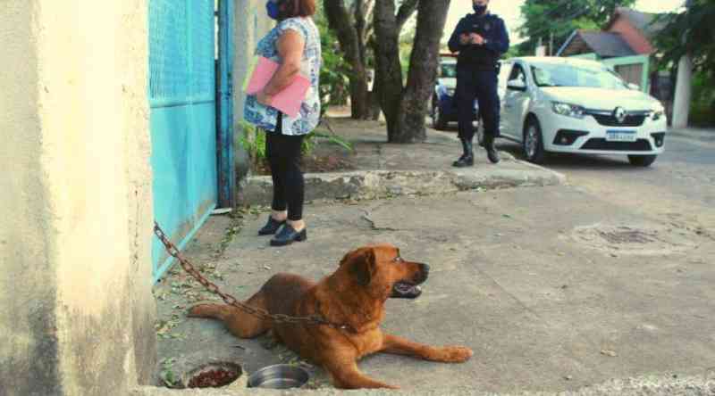 Dois cachorros em situação de maus-tratos são resgatados em Vila Velha, ES