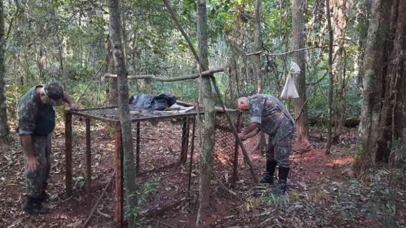 Ambiental apreende armadilha de caça de animais silvestres de grande porte em Naviraí, MS