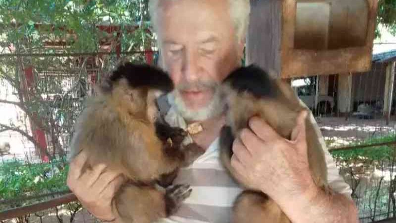 Justiça nega habeas corpus aos macacos Chiquinho e Catarina, ‘filhos’ de Vicente