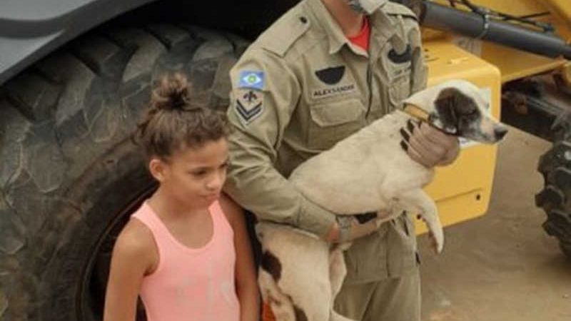 Bombeiros resgatam cachorro preso em contêiner em Lucas do Rio Verde, MT