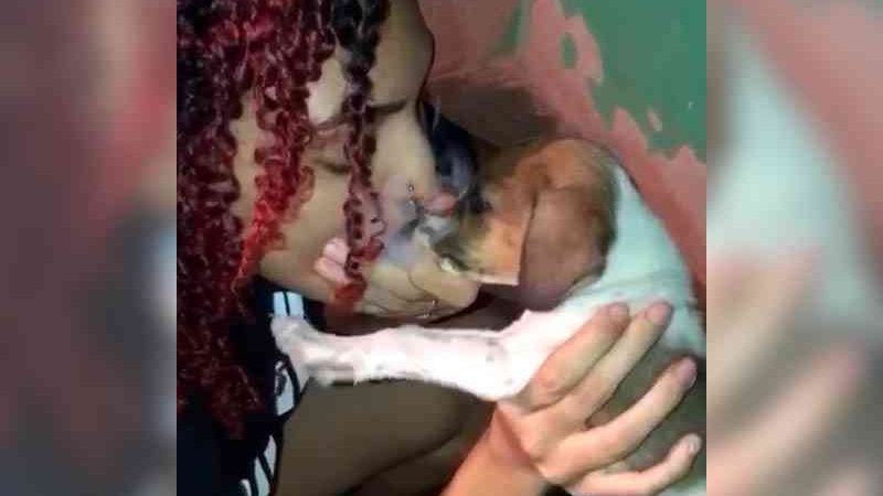 VÍDEO: Participante de reality em Jacundá (PA) obriga filhote de cão a inalar maconha
