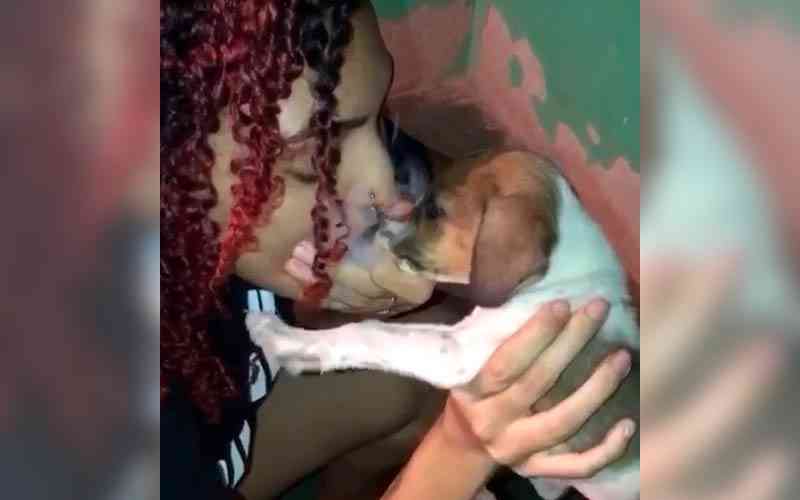 VÍDEO: Participante de reality em Jacundá (PA) obriga filhote de cão a inalar maconha