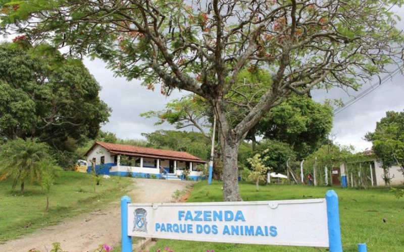 Rio das Ostras (RJ) realiza atendimento veterinário clínico gratuito