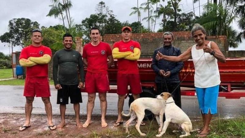 Cães ilhados por conta das cheias de rio são resgatados pelos bombeiros em Roraima