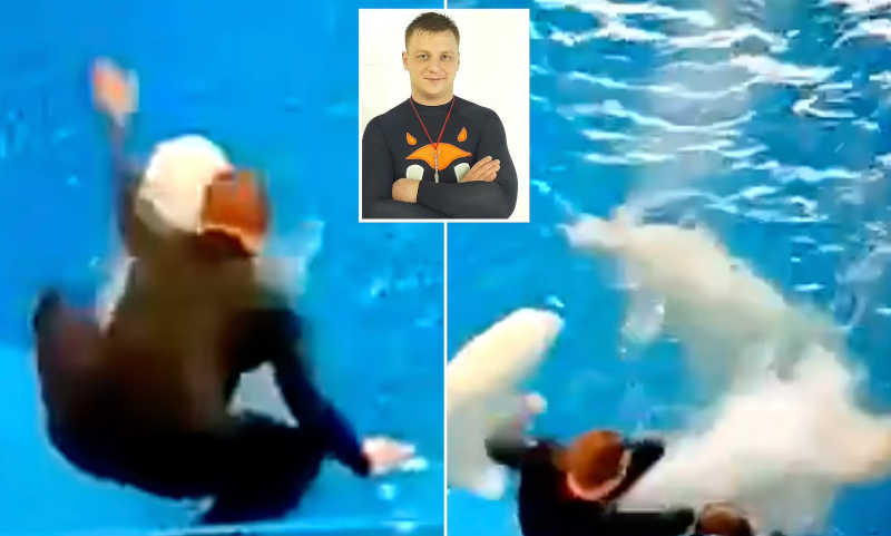Treinador é flagrado batendo e chutando belugas em aquário na Rússia