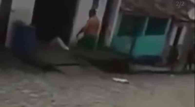 Homem é preso após ser flagrado matando gato a pauladas em AL; veja o vídeo