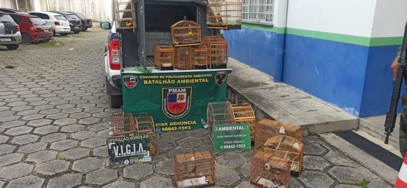 Homem é preso por suspeita de manter mais 18 pássaros em criadouro ilegal em Manaus, AM