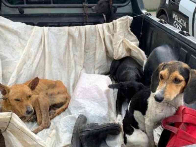Caçadores são presos por maus-tratos a seis cachorros em Eunápolis, BA