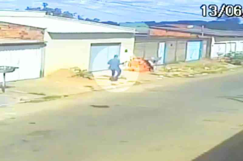 Homem mata cachorro com pedrada no Jardim Tropical, em Aparecida de Goiânia, GO