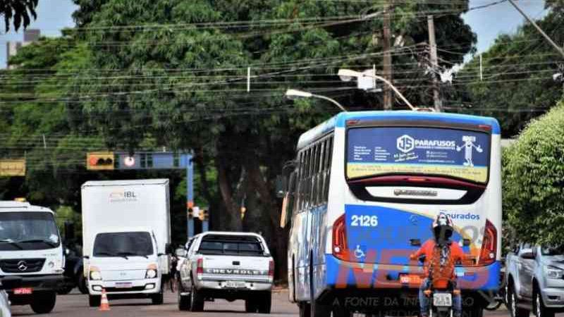 Lei que permite levar animais no transporte coletivo urbano é sancionada em Dourados, MS