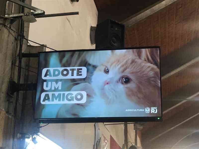 Vídeo de incentivo a adoção de animais é exibido na rodoviária de Niterói, RJ