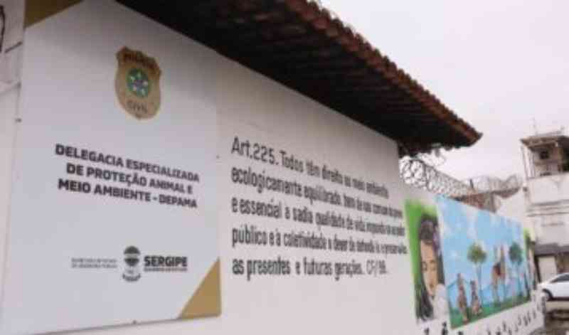 Número de denúncias de zoofilia chama atenção da Delegacia de Proteção Animal em Sergipe