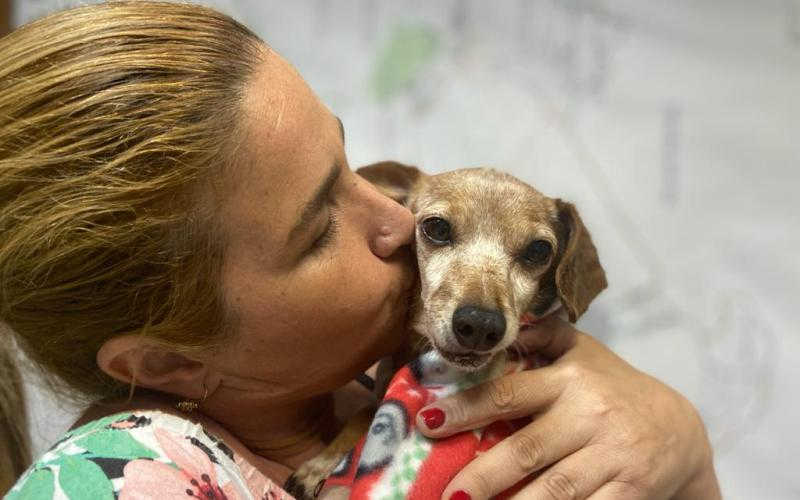 Cão foi adotado pela vereadora Alessandra (Moreno Moura)