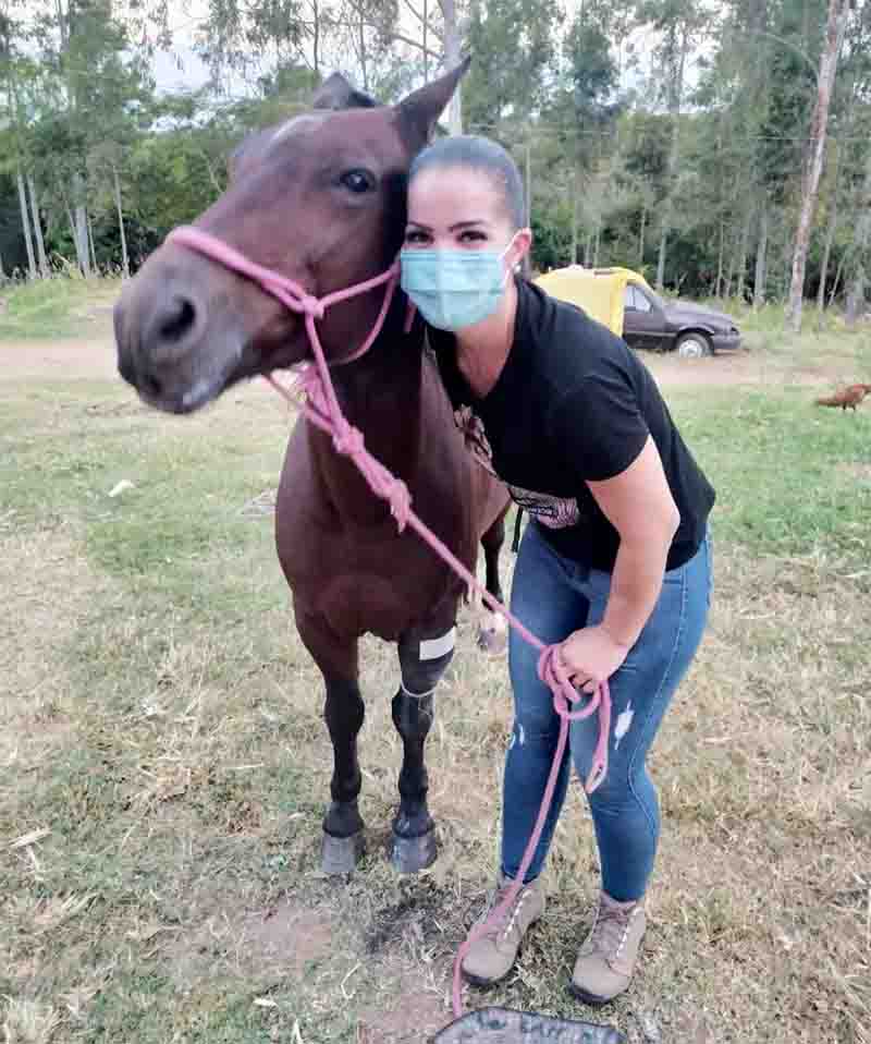 Cavalo ferido é salvo após receber cuidados de policial militar de folga, em Presidente Prudente, SP