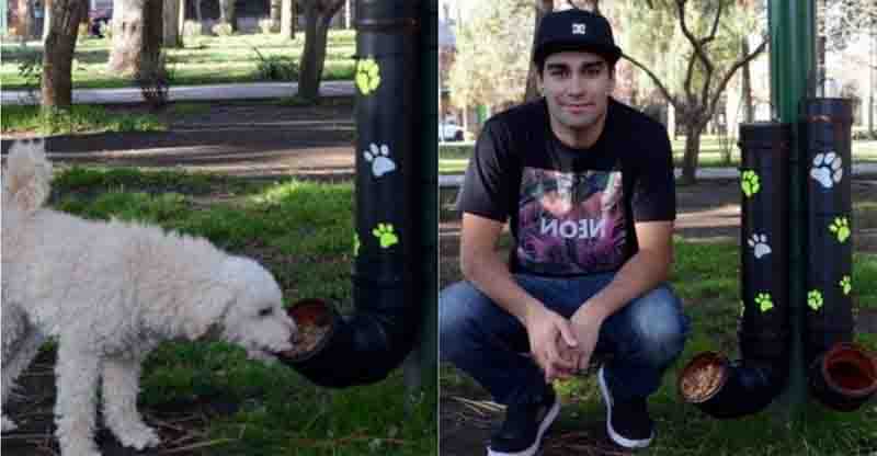 Jovem instala comedouros e bebedouros para cachorros de rua na Argentina: ‘Não merecem passar fome’