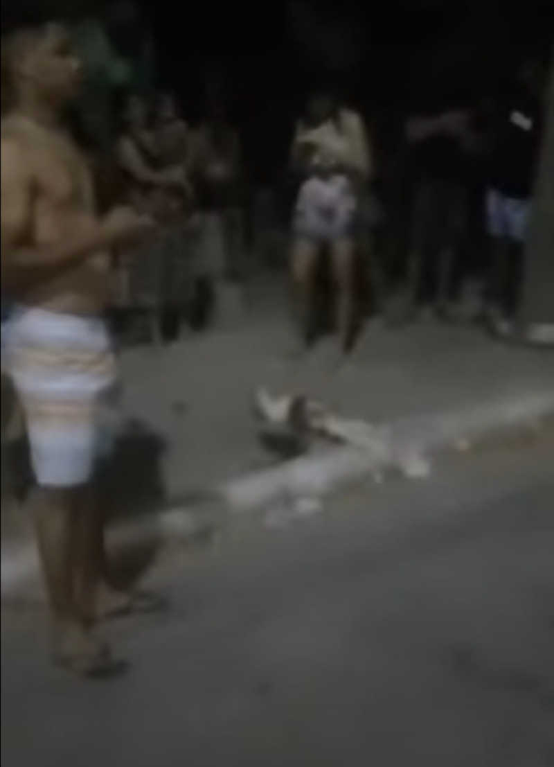 Cadela grávida é baleada e morta por latir para homem fardado em Fortaleza, CE