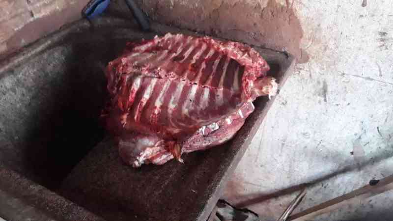 Cerca de 20 quilos de carnes de animais silvestres foram apreendidas, no local. (Foto: Direto das Ruas)