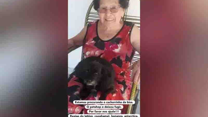 Pet shop deixa dois cachorros fugirem em menos de um mês, em Campo Grande, MS