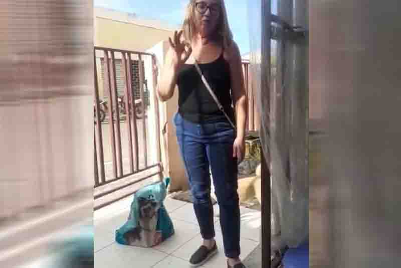 Dona de abrigo de animais em Sousa (PB) oferece recompensa a quem informar sobre assassinato de gatos na região