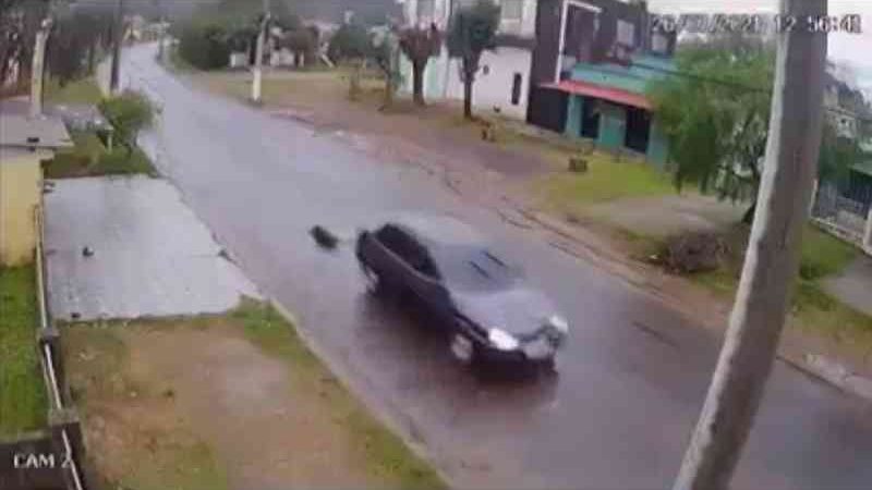 Cão morre após ser arrastado por carro em Santana do Livramento (RS), diz polícia; veja vídeo