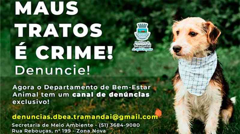 Tramandaí (RS) tem e-mail para denúncias de maus-tratos contra animais