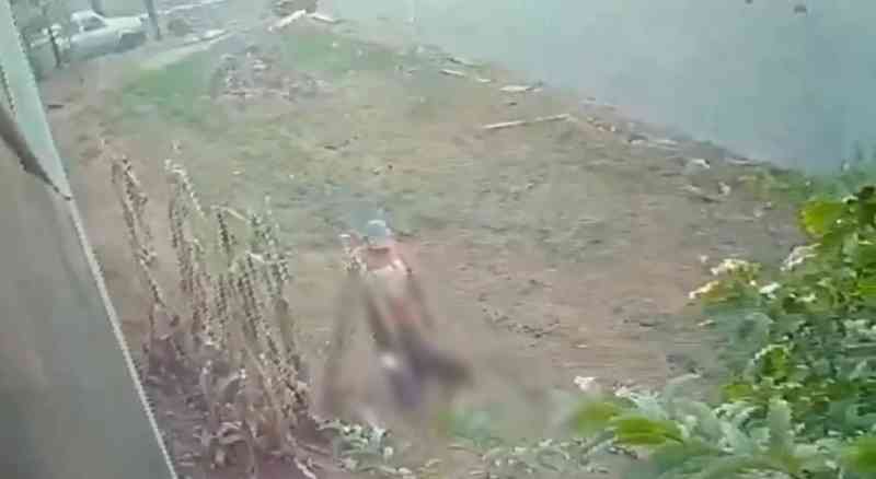 Homem é flagrado em vídeo estuprando cadela grávida em terreno baldio em Birigui, SP